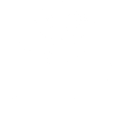 Lady Faith logo in white